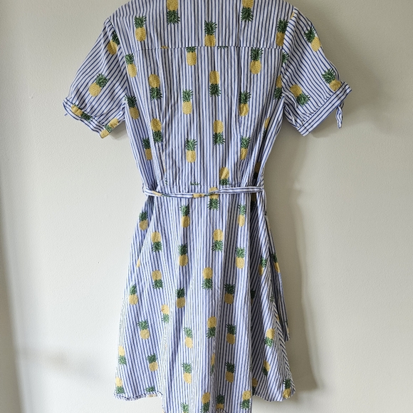 Chloe and Rene pinstriped pineapple button down dress - Picture 8 of 8